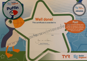 Puffin Certificate & Badge