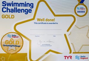 C: Gold Challenge